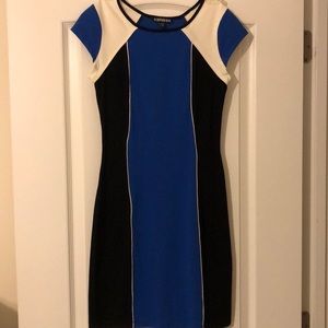 Express Colorblock Dress